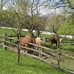 克里尔古特酒店 招待所 *