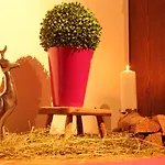 克里尔古特酒店 * Rossleithen