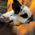 克里尔古特酒店 招待所