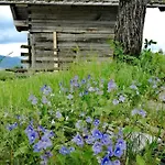 克里尔古特酒店 招待所 Rossleithen