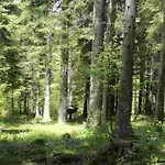 克里尔古特酒店 招待所 Rossleithen