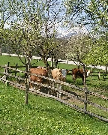 Kreilgut Gæstehus *