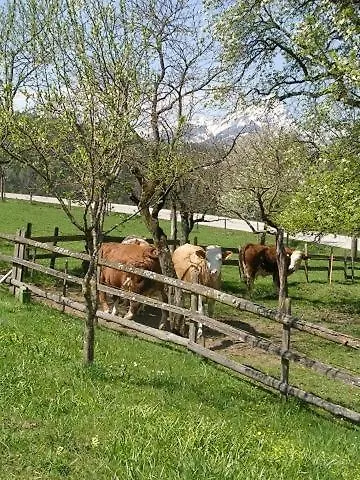 Kreilgut Πανσιόν *