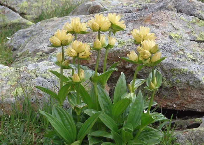 Kreilgut Πανσιόν Rossleithen