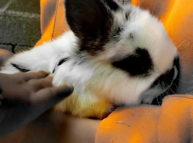 Kreilgut Πανσιόν