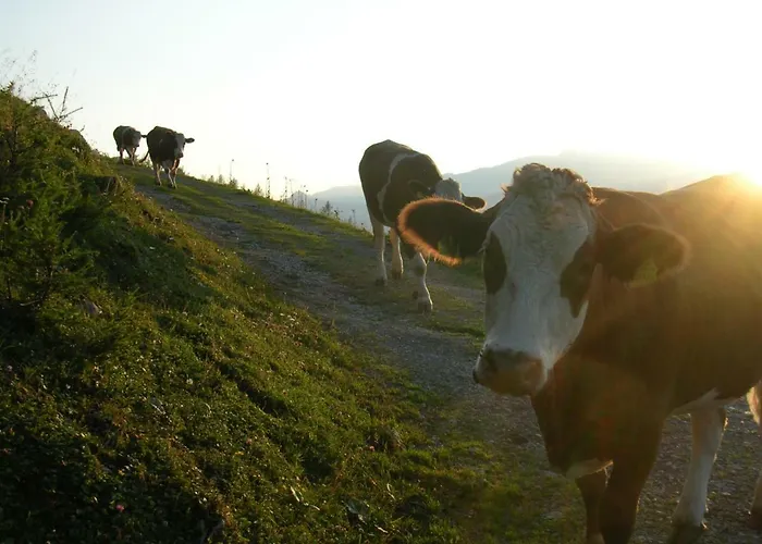 Kreilgut רוסליתהן
