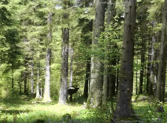 Kreilgut Πανσιόν Rossleithen