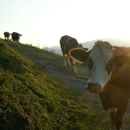 Kreilgut Rossleithen