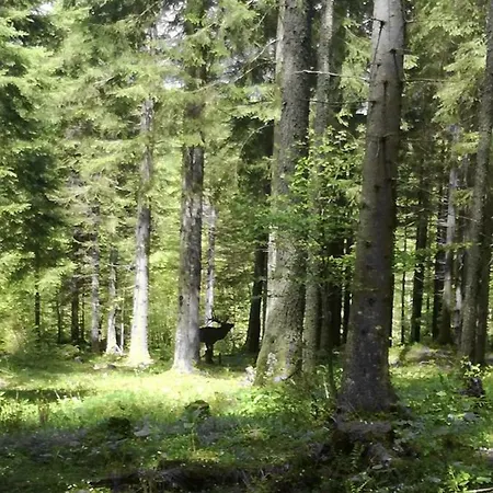 Kreilgut Гостевой дом Рослайтен