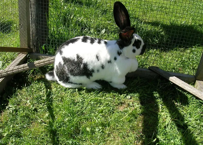 Kreilgut * Рослайтен