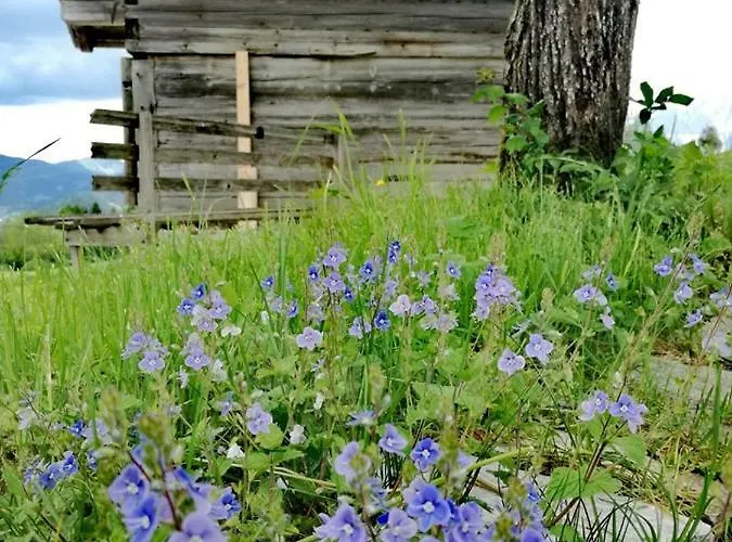 Kreilgut Гостевой дом Рослайтен